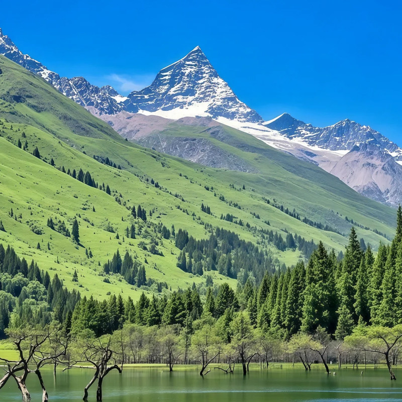 8人团川西稻城亚丁四姑娘山5天4晚自由行墨石公园鱼子西飞猪旅行