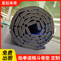 Martial Arts Roll Mat for Sports, Gym, Dance, Yoga, Fighting, Wrestling, Boxing, Martial Arts Training, Taekwondo Floor Mat