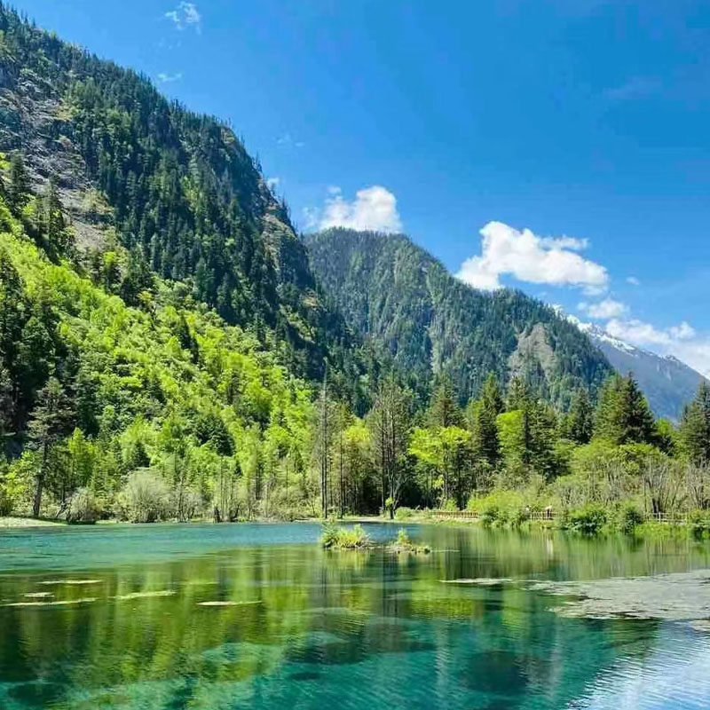 8人小团川西纯玩二日游新都桥鱼子西2天1晚姑弄村甲根坝跟团游