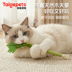 Wooden Cat Toy, Kitten Teething Stick, Teeth Cleaning, Durable for Chewing, Self-Entertainment Boredom Buster, with Bell, Cat Teaser Wand