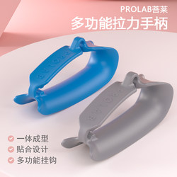 Gantry Handle Fitness Resistance Band Fitness Equipment Accessories Handle Bird of Paradise Chest Expander Resistance Band Handle Hook