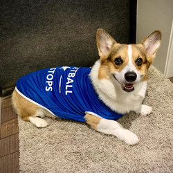 Large Dog Clothes, Medium and Large Dogs, Summer Thin Vest, Golden Retriever, Corgi, Labrador, Shiba Inu, Teddy, Spring and Autumn Clothing