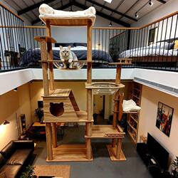 Home Use Large Space Capsule Cat Villa with Climbing Frame, Cat Bed, and Cat Tree All in One, Wall-Mounted, Space-Saving