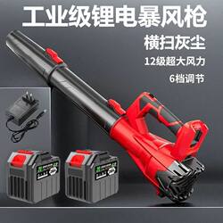 Wireless Lithium Battery Hair Dryer Rechargeable Blower High-Power Industrial Dust Blower Outdoor Leaf and Snow Blower