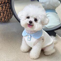 Dog Clothes Summer Thin Polo Shirt with Collar for Teddy, Bichon, Schnauzer, Small Dogs, Cats, Pet Anti-Shedding