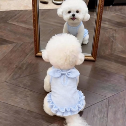 Dog Clothes Summer Thin Princess Dress Teddy Bichon Schnauzer Small Puppy Pet Cat Breathable Vest