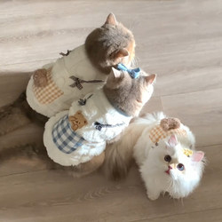 Pet Cat Clothes Autumn and Winter Outfit Ragdoll Golden Gradient Cute Vest Poodle Small and Medium-Sized Dogs Warm Vest