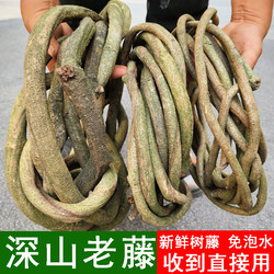 Tree vine withered vine red mountain vine wedding shop home decoration tree vine ceiling without soaking water real rattan decorative leaves