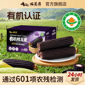 
Pioneer - Organic black waxy corn 1920g fresh sticky corn on the cob sweet sticky vacuum packaging bag non-Northeast