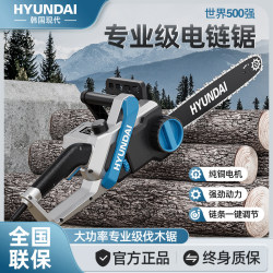 Electric Chainsaw for Home Use, Small Handheld High-Power 220V Plug-In Cutting Electric Chain Saw, Tree Cutting Tool, Logging Saw
