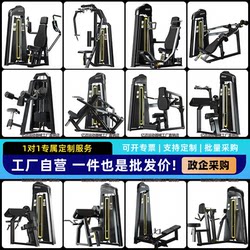 Complete Collection of Fitness Equipment: Full Set of Commercial Gym-Specific Machines, Butterfly Machine, Chest Press, High and Low Pull Back Exercises