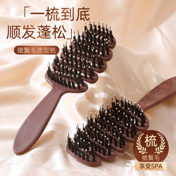 Pine Cone Boar Bristle Hairbrush for Volumizing Hair, Massage Scalp, Smooth Hair, Rib Comb, Trendy Comb, Women's Exclusive