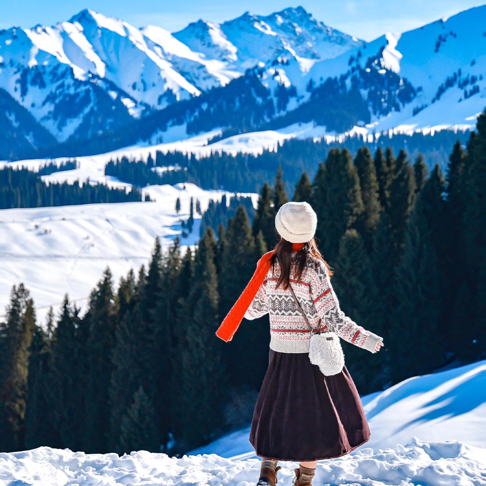 含机票6人小团 新疆北疆全景旅游10天9晚伊犁喀纳斯禾木纯玩跟团