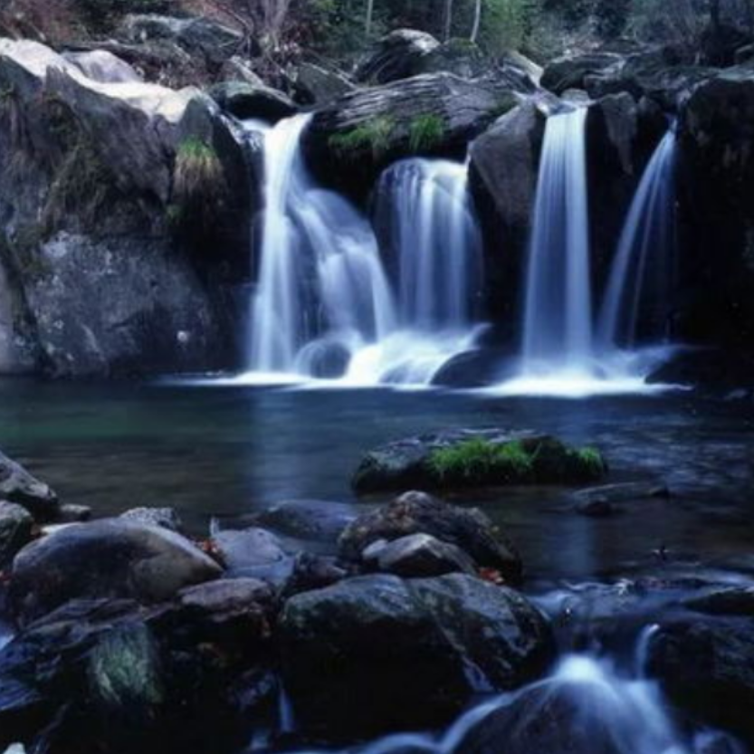 江西庐山+鄱阳湖+景德镇+婺源篁岭精品3日游 舒适住宿 无购物