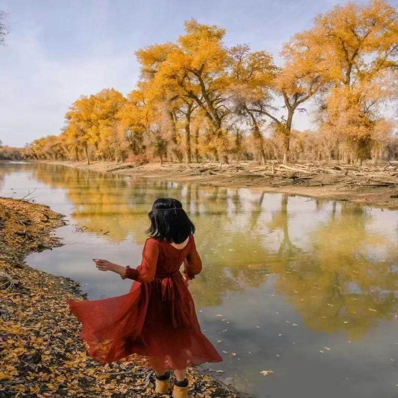 8人内拼团2人起订丨兰州往返丨额济纳旗+居延海5日游丨金色胡杨林