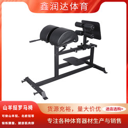 Ghd Commercial Roman Chair Multi-Purpose Waist and Abdominal Muscle Trainer Goat Stand Waist and Back Fitness Equipment