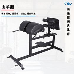 Ghd Commercial Roman Chair Multi-Purpose Waist and Abdominal Muscle Trainer Goat Stand Waist and Back Fitness Equipment