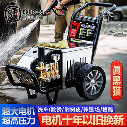 Black Cat High-Pressure High-Power 380V Industrial Cleaning Machine 220V Commercial Car Wash Machine Water Pump Car Wash Tool