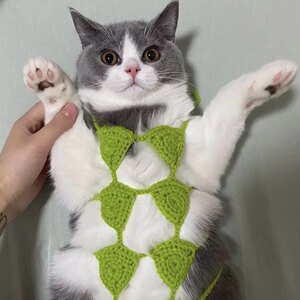 
Cat Bikini Clothes Toys Douyin Internet Celebrity Handmade Wool Kitten Pet Funny Underwear Dog Bra