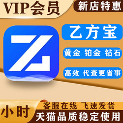 Yifangbao Bidding Membership Vip Nationwide Yifangbao Gold, Platinum, and Diamond Membership One-Day Bidding Website Search Service