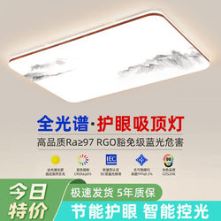 2025 New Model Led Ceiling Light for Room, Bedroom, Living Room, Hall, Modern Minimalist Chinese-Style Zhongshan Lighting 3