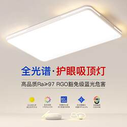 2025 New Model Led Ceiling Light for Room, Bedroom, Living Room, Hall, Modern Simple and Elegant Zhongshan Lighting Fixtures