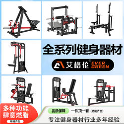 Aiglen Commercial Fitness Equipment Complete Set of Strength Training Equipment Bench Press Rack Squat Rack Seated Shoulder Lift Trainer