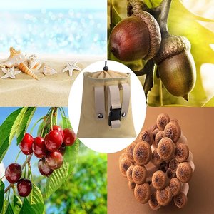 
Upgraded outdoor waist-hanging foraging bag, hands-free field tool bag, garden fruit picking storage bag