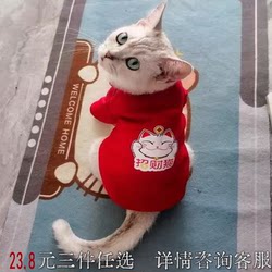 Spring and Autumn Ruddog Silver Gradient Puppy Dog Kitty Sweatshirt