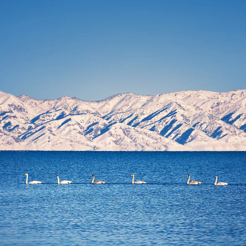 新疆旅游北疆双湖8日轻旅拍+将军山+喀纳斯+禾木+赛里木湖+滑雪