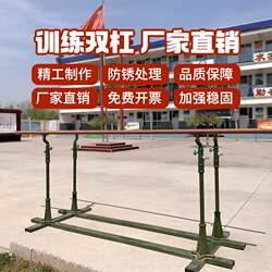 Indoor and Outdoor Single and Double Bar Pull-Up Bars for Home Use, Non-Fixed, Movable, Outdoor Single and Double Bar Manufacturer