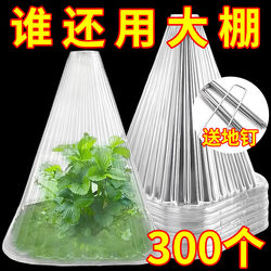 Vegetable Plant Cover for Insect and Bird Protection, Suitable for Seedlings, Vegetable Seedlings, Young Plants, Nursery Plants, Greenhouse Seedlings, Insulation, Frost Protection Cover