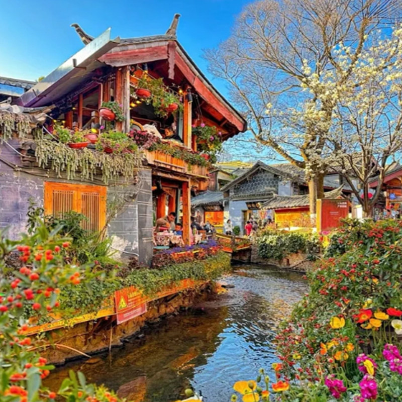 6天5晚纯玩旅游昆明大理丽江石林洱海玉龙雪山大索道丽江古城束河