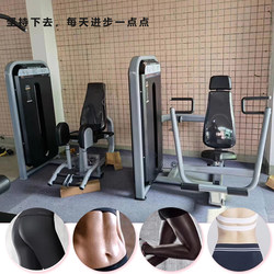 Chest Muscle Training Equipment Gym Chest Expander Arm Strength Device Seated Chest Push Trainer Seated Chest Push and Shoulder Lift All-In-One Machine