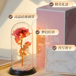 520 Valentine's Day Birthday Gift for Girlfriend or Best Friend, High-End Romantic Eternal Rose Night Light