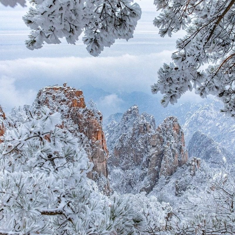延吉出发长白山1日游私家团包车 长白山北坡天池 省心游亲情服务
