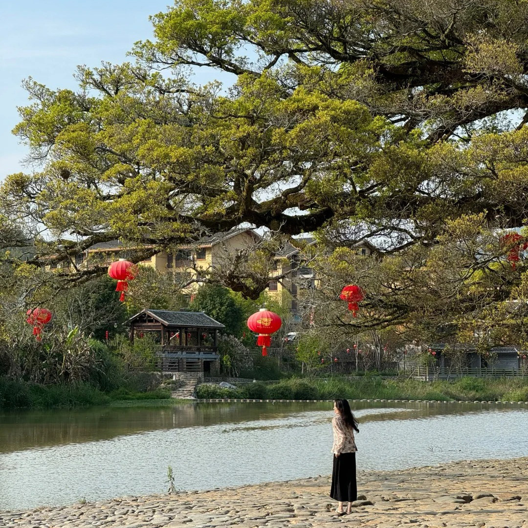 【头等舱大巴跟团·赠登楼】厦门旅游南靖云水谣+永定土楼一日游