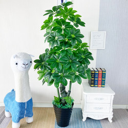 Artificial Flowers, Plastic Simulation Plants, Artificial Trees, Large Decorative Potted Plants, Indoor Money Trees, Floor-Standing Green Plants, Bonsai