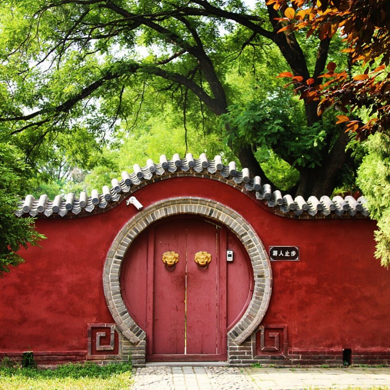 曲阜三孔景区一日游丨精品小团+导游讲解