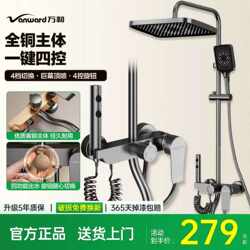 Wanhe Shower Set with Pressurized Showerhead, All-Copper Body, Simple Design for Home Use, Pressurized Showerhead with Constant Temperature