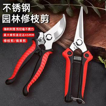 
Stainless steel non-slip straight head thinning fruit scissors with large mouth