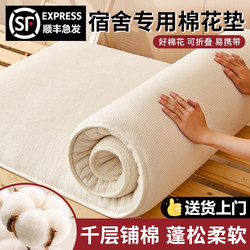   Xinjiang Cotton Mattress Soft Pad Dormitory Student Single Bunk Bed 90X190 Thickened Mattress Pad