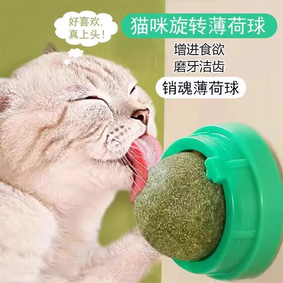 
Catnip ball cat toy for teeth grinding, teeth cleaning, chewing resistance and boredom relief artifact for cats and kittens to enjoy and lick for pleasure