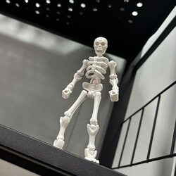 3D Printed Multi-Jointed Skeleton Figure, Customizable in Any Shape, Creative Stress-Relief DIY Desktop Ornament