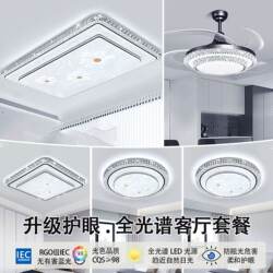 Star Lotus Design Ceiling Light Bedroom Main Light Simple and Elegant Zhongshan Lighting 2026 New Model Living Room Large Light Super Bright