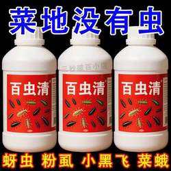 Say goodbye to pests, use this insecticide when growing flowers and vegetables