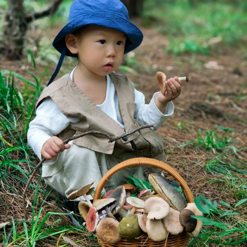 西双版纳旅游捡菌子雨林徒步采茶制茶亲子一日游 土著哈尼族向导