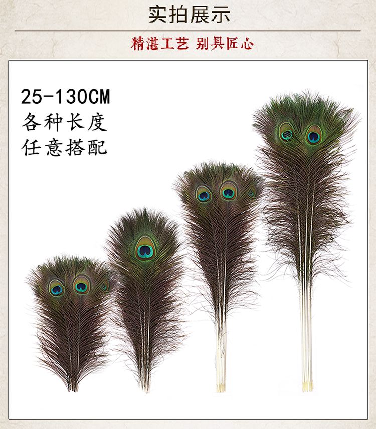 孔雀の羽の装飾品 - クラシックなリビングルームの装飾