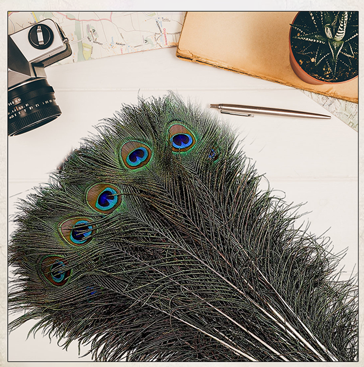 孔雀の羽の装飾品 - クラシックなリビングルームの装飾