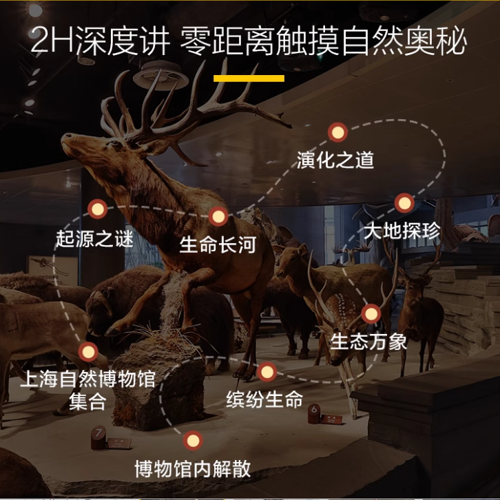 猩咖说上海自然博物馆+历史博物馆4H包团人工讲解上海旅游